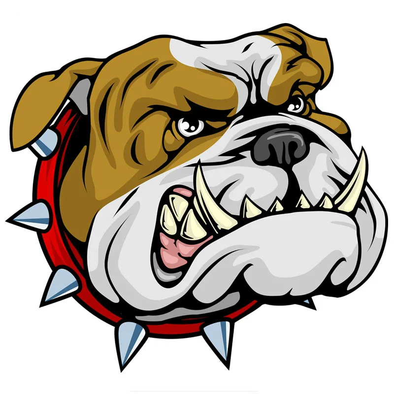 Pet Portrait Custom - Nieuw Ontwerp Hot Sell Super Boze