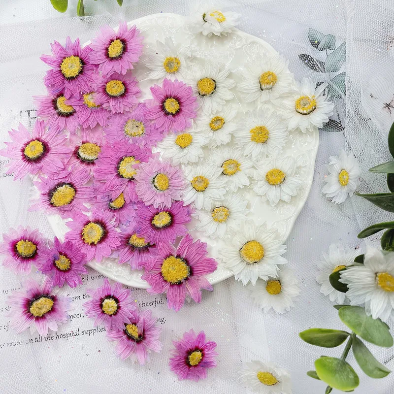 Dried Flower Bookmark - 24Pcs/2-4Cm, Natuurlijke Geperste Bloemen Bloemblaadjes, real