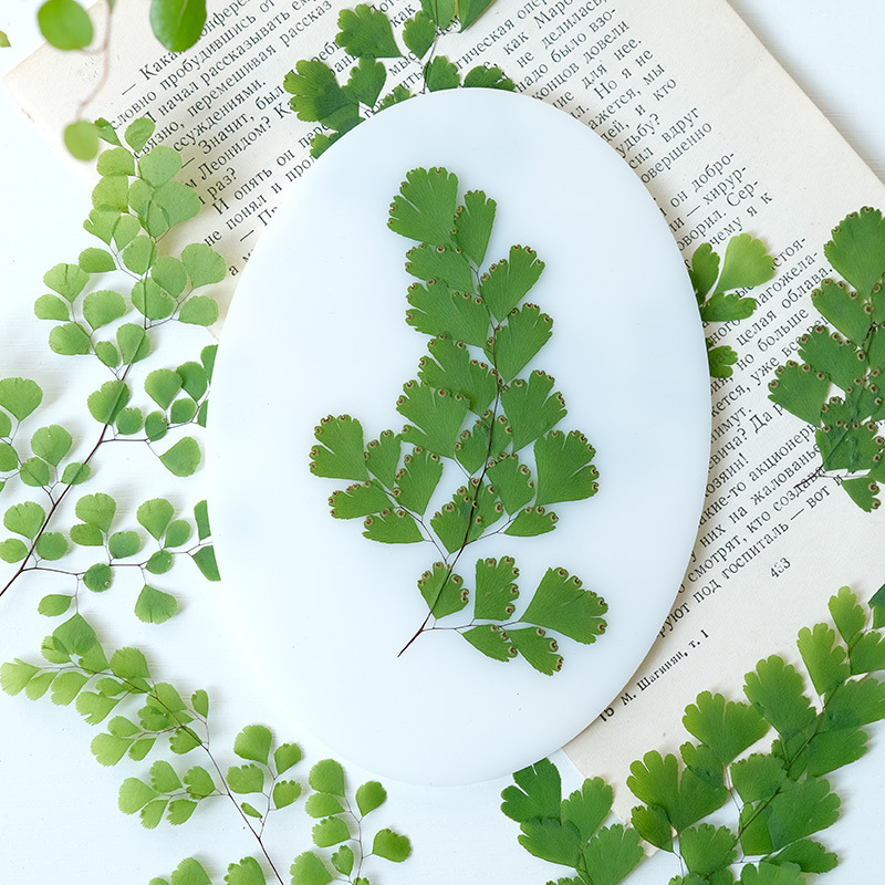 Dried Flower Bookmark - 60 stuks natuurlijke planten echte bloemen