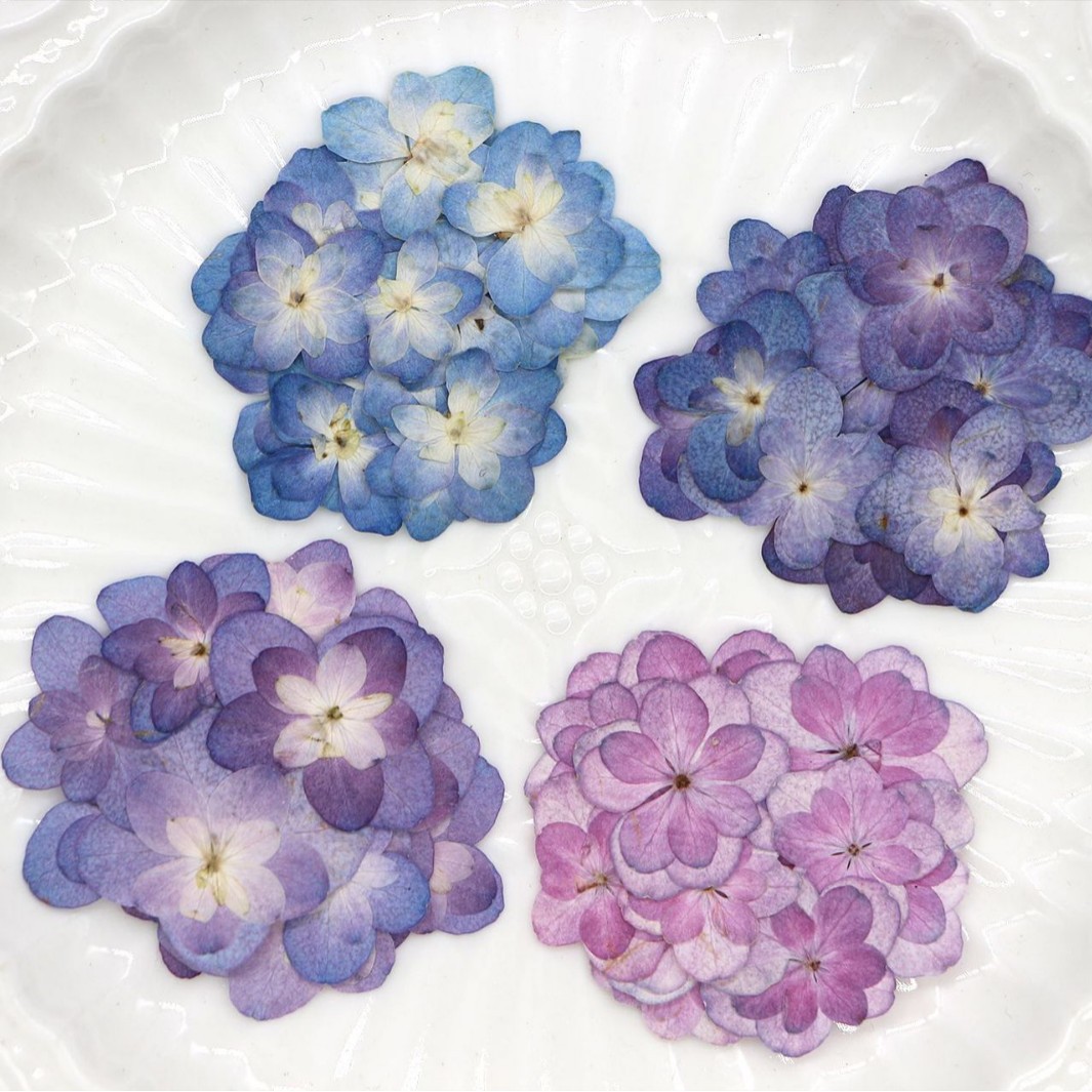Dried Flower Bookmark - 60 stuks mini dubbelbloemige hortensia gedroogde