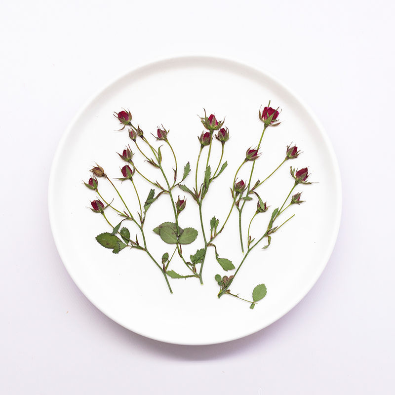 Dried Flower Bookmark - 12 stuks, gedroogde roos multi-bud takken