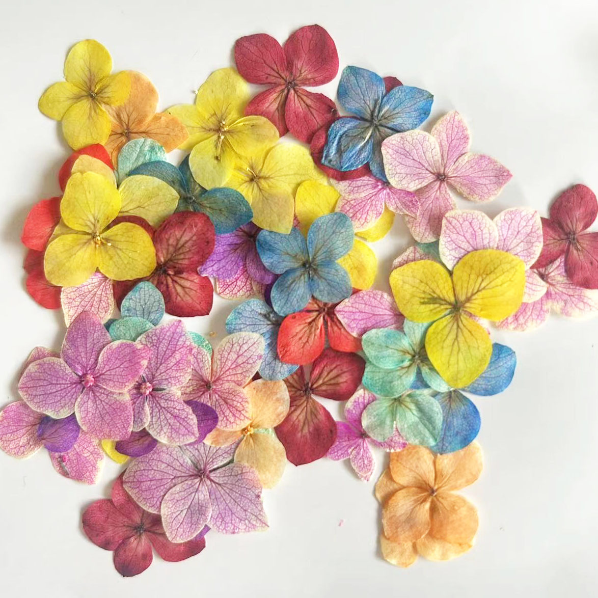 60 stuks Anna Hortensia Kleura - Dried Flower Bookmark recensie en prijs