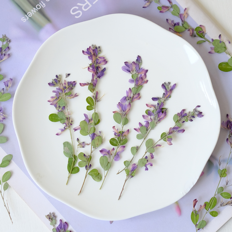 6 stuks, natuurlijke Lespedeza - Dried Flower Bookmark recensie en prijs