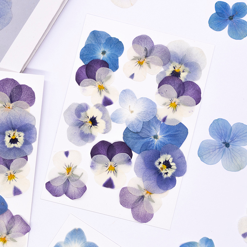 12 Stuks, Echte Viola Cornuta  - Dried Flower Bookmark recensie en prijs