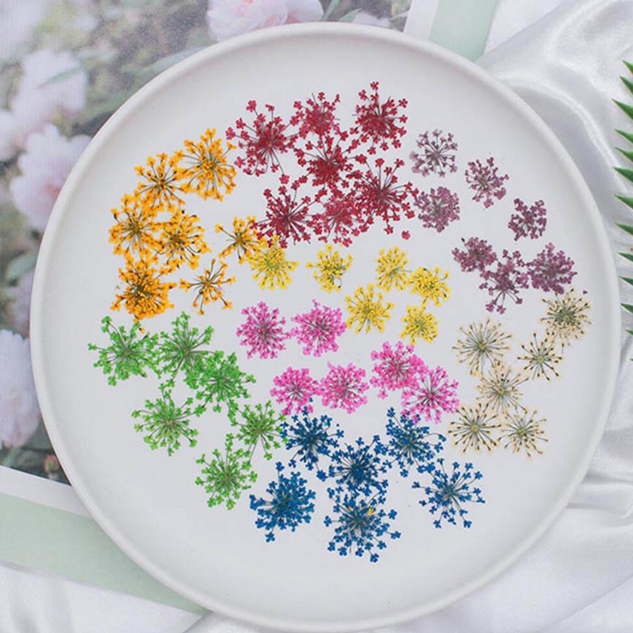 60 stuks geperst gedroogde 15- - Dried Flower Bookmark recensie en prijs