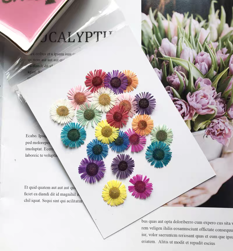 1 Set Geperste Gedroogde Bloem - Dried Flower Bookmark recensie en prijs