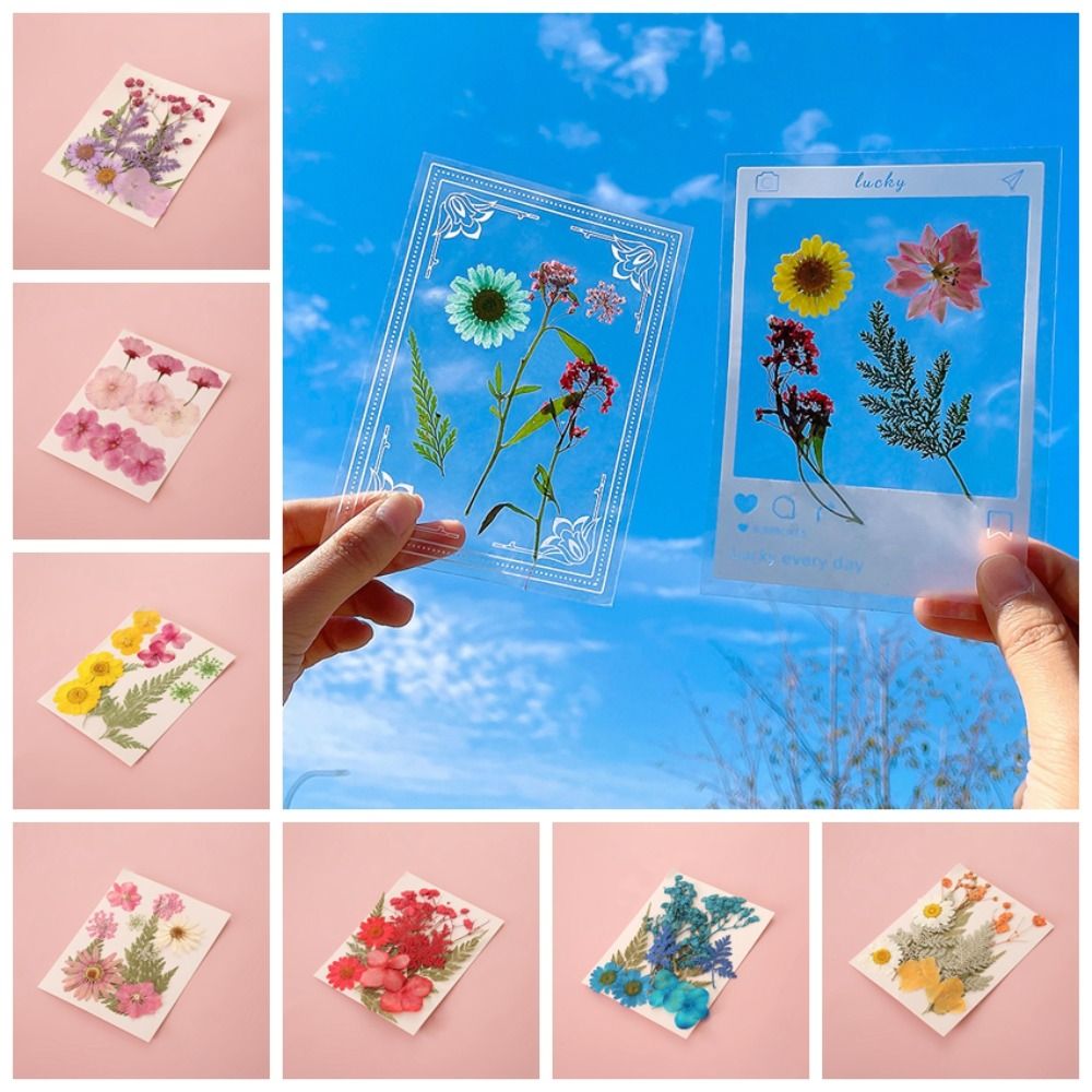 DIY-materiaal DIY gedroogde bl - Dried Flower Bookmark recensie en prijs