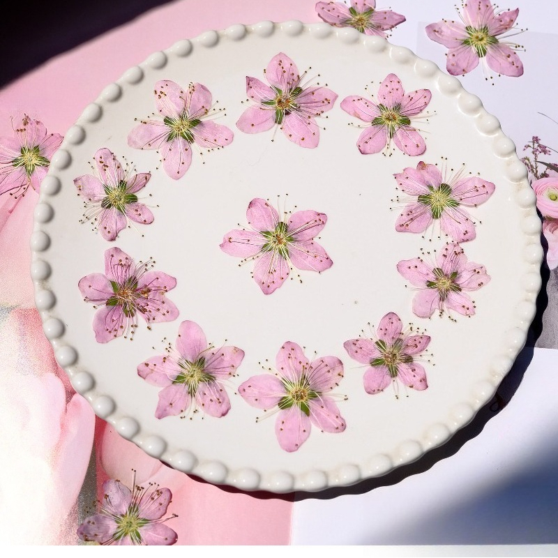 3-4cm./6 stuks, Roze Perzikblo - Dried Flower Bookmark recensie en prijs