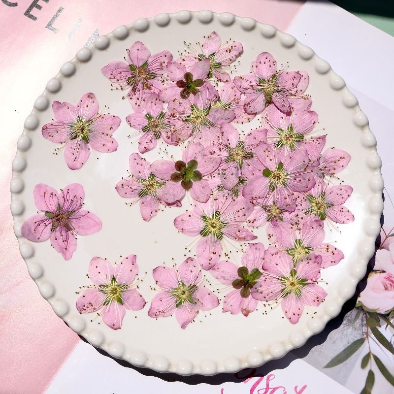 3-4cm./6 stuks, Roze Perzikblo - Dried Flower Bookmark recensie en prijs