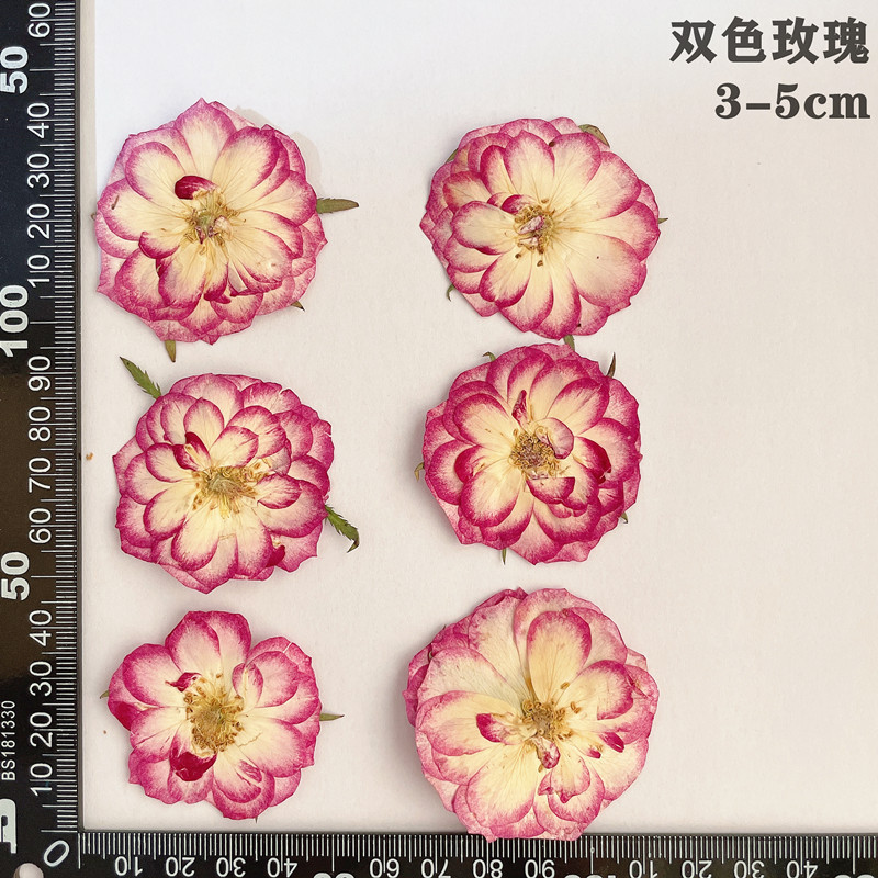 60pcs Geperst Gedroogd Rood Ge - Dried Flower Bookmark recensie en prijs