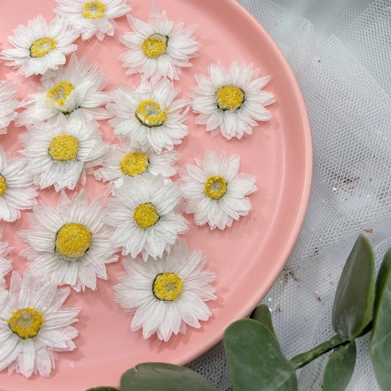 24Pcs/2-4Cm, Natuurlijke Geper - Dried Flower Bookmark recensie en prijs