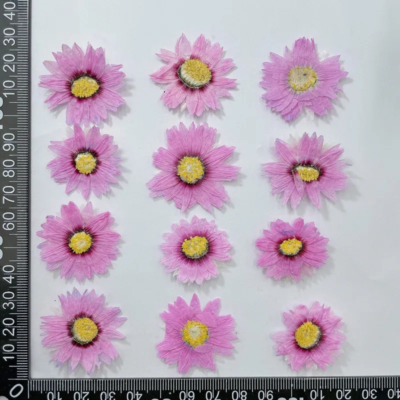24Pcs/2-4Cm, Natuurlijke Geper - Dried Flower Bookmark recensie en prijs