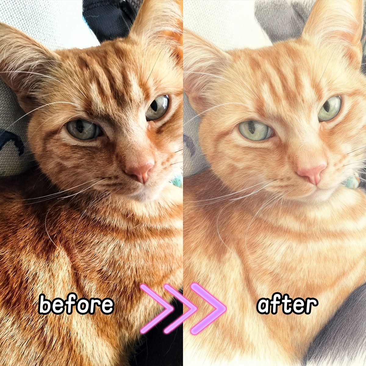Gepersonaliseerde aangepaste k - Pet Portrait Custom recensie en prijs