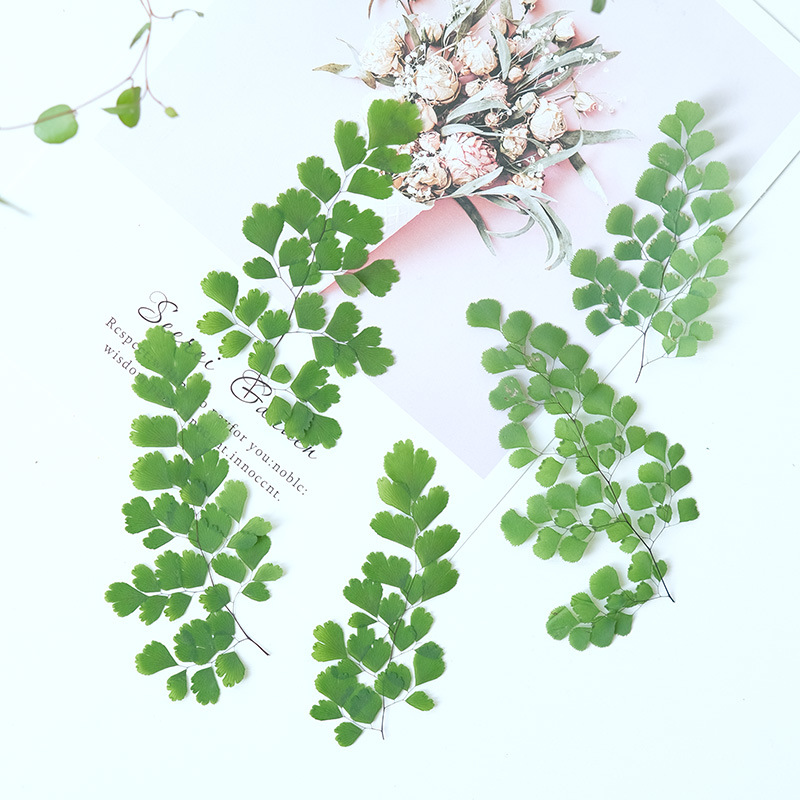 60 stuks natuurlijke planten e - Dried Flower Bookmark recensie en prijs