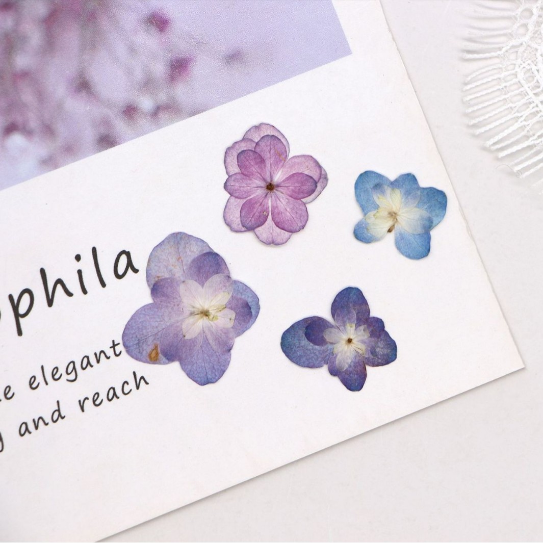 60 stuks mini dubbelbloemige h - Dried Flower Bookmark recensie en prijs