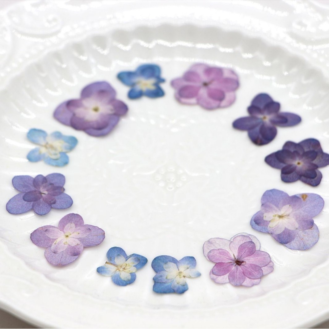 60 stuks mini dubbelbloemige h - Dried Flower Bookmark recensie en prijs