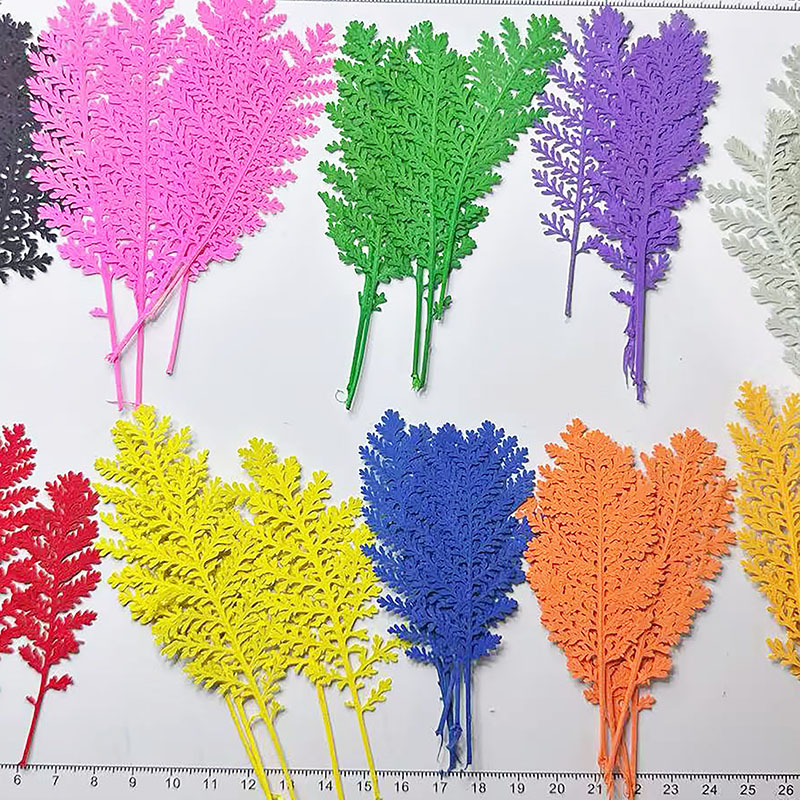 100 stuks natuurlijke zilveren - Dried Flower Bookmark recensie en prijs