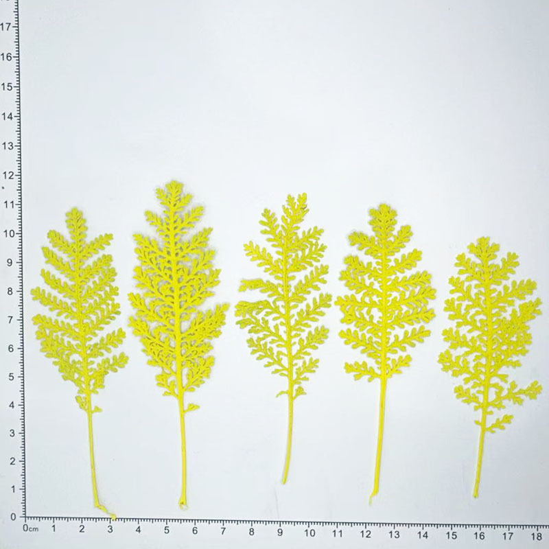 100 stuks natuurlijke zilveren - Dried Flower Bookmark recensie en prijs