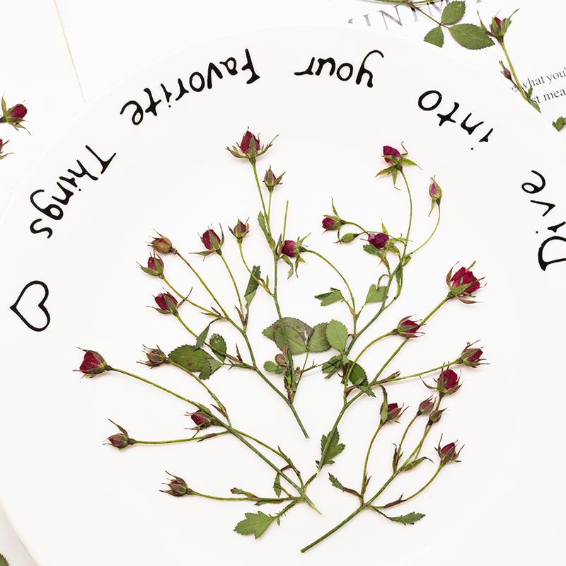 12 stuks, gedroogde roos multi - Dried Flower Bookmark recensie en prijs