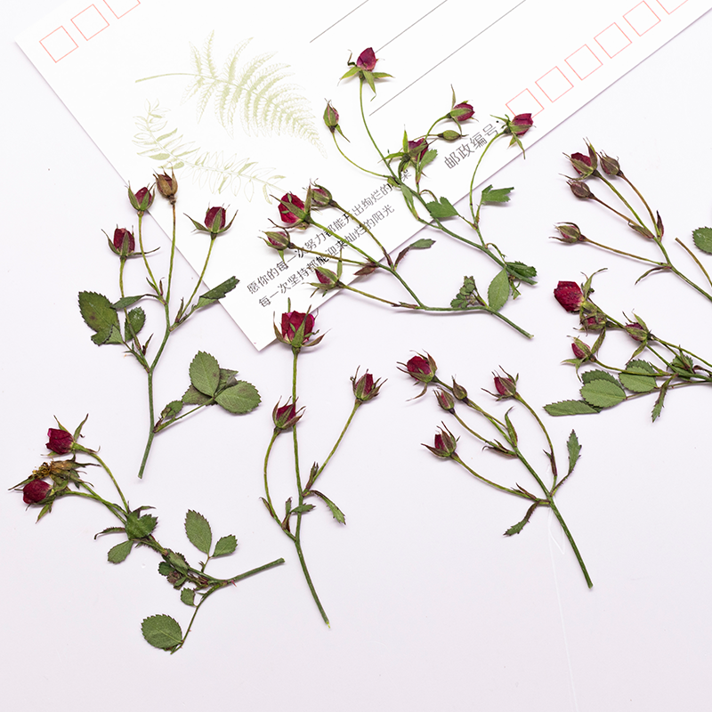 12 stuks, gedroogde roos multi - Dried Flower Bookmark recensie en prijs